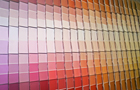 Paint and Color Match